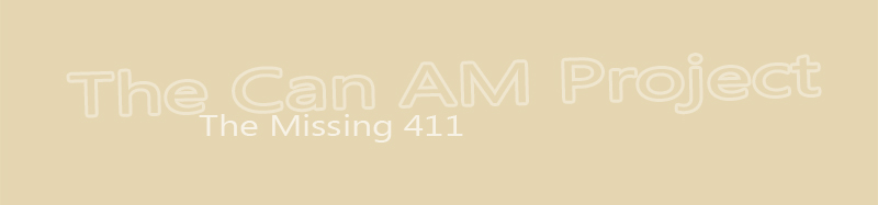 See More - The Missing 411